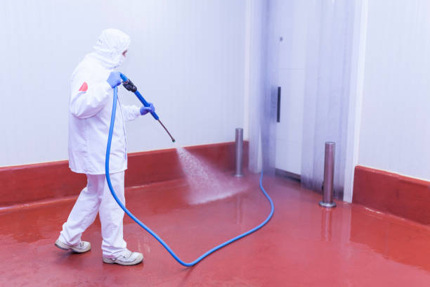 Pre-Holiday Cleaning in Holbrook, AZ