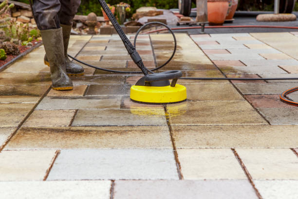 Animal Enclosure Cleaning in Holbrook, AZ